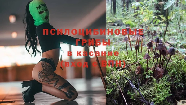 гашиш Беломорск