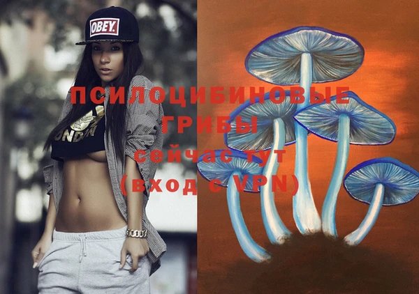 гашиш Беломорск