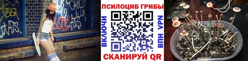 Псилоцибиновые грибы ЛСД  Старица 